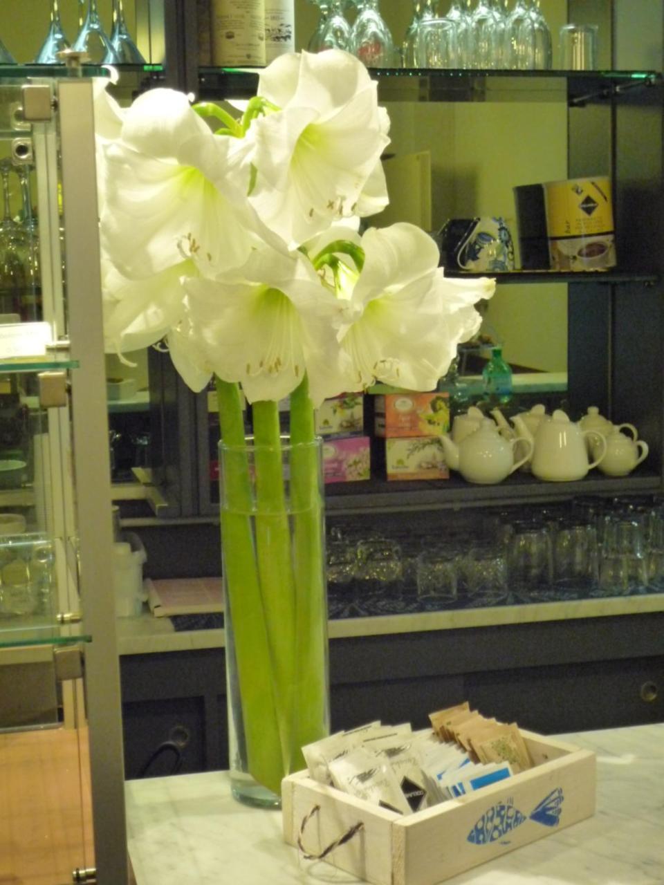 Casa F.A.C.I Hotel มารีนา ดิ มาซซา ภายนอก รูปภาพ